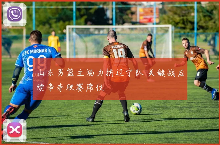 山东男篮主场力拼辽宁队 关键战后续争夺联赛席位