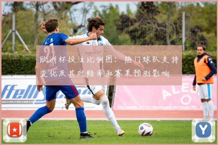 欧洲杯投注比例图：热门球队支持变化及其对赔率和赛果预测影响