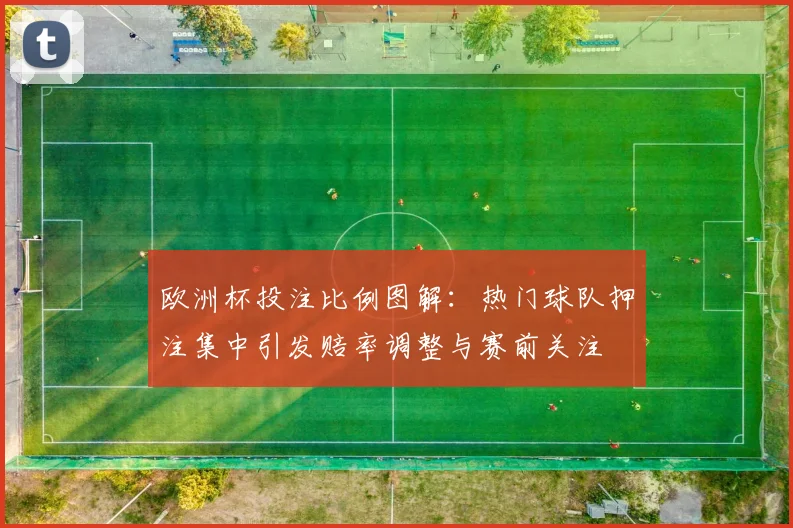 欧洲杯投注比例图解：热门球队押注集中引发赔率调整与赛前关注