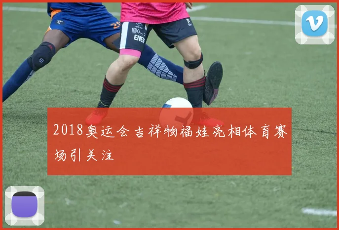 2018奥运会吉祥物福娃亮相体育赛场引关注