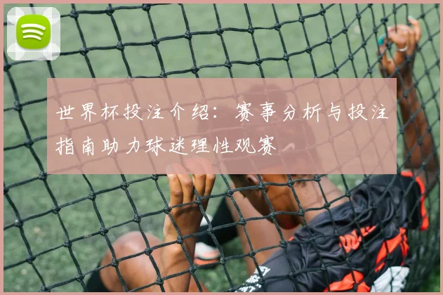 世界杯投注介绍：赛事分析与投注指南助力球迷理性观赛