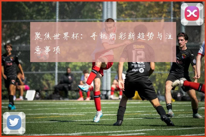 聚焦世界杯：手机购彩新趋势与注意事项