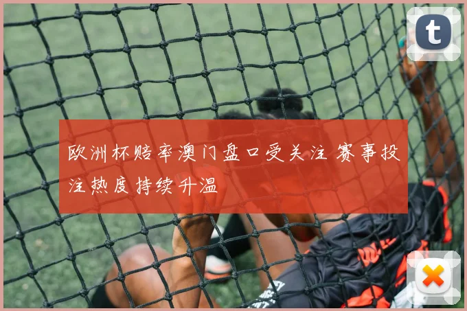欧洲杯赔率澳门盘口受关注 赛事投注热度持续升温