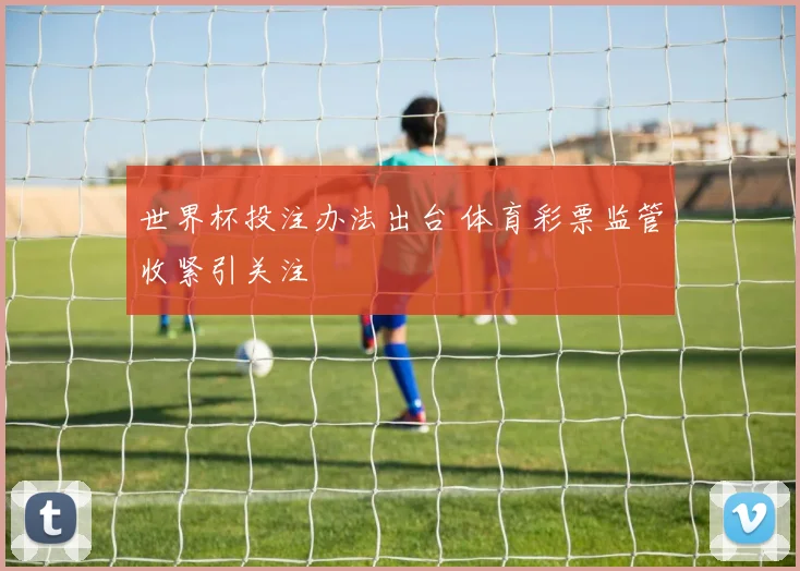 世界杯投注办法出台 体育彩票监管收紧引关注