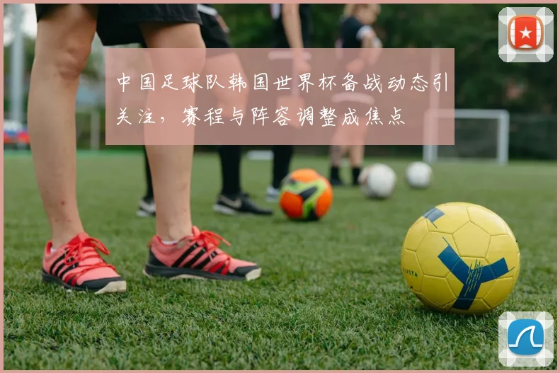 中国足球队韩国世界杯备战动态引关注，赛程与阵容调整成焦点