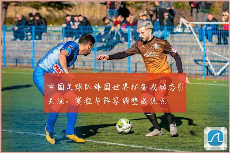 中国足球队韩国世界杯备战动态引关注，赛程与阵容调整成焦点