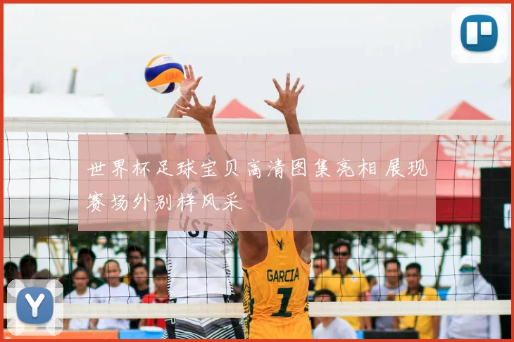 世界杯足球宝贝高清图集亮相 展现赛场外别样风采